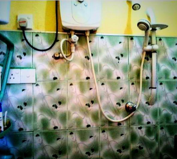 Happy Morning Bliss Bed & Breakfast Mirissa Luaran gambar